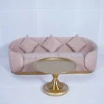 Pink Panther Sofa Setup